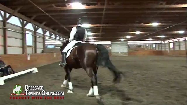  First Level Canter, Half Halt & Jump...