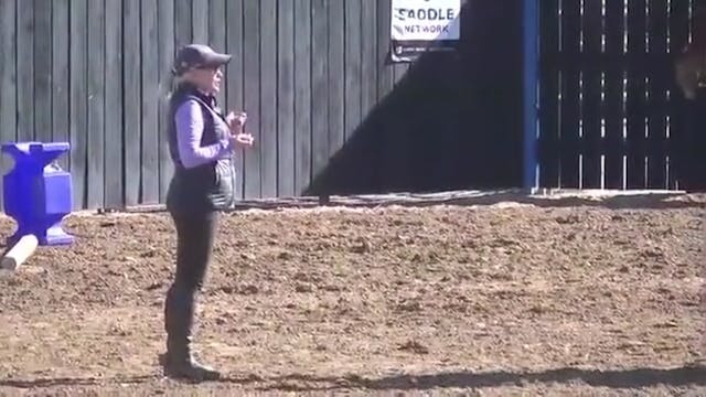 Bouncy Show Jumping Canter - Part 1