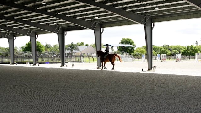 Warm Up for Second Level Horse | Jane...