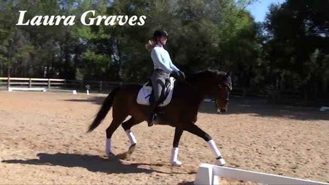 Lateral work in the trot Part 3