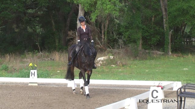 Free Walk | Peter Gray | TRAILER