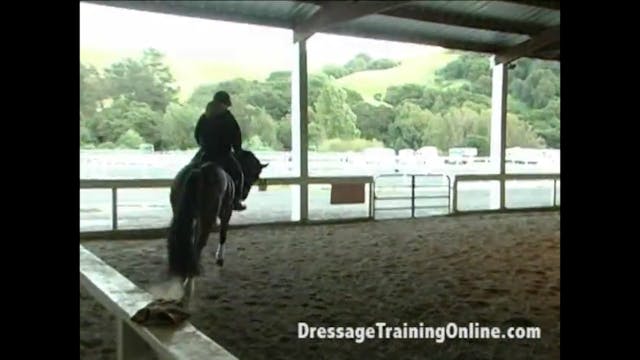 Young Horse: Dealing with Contact Iss...
