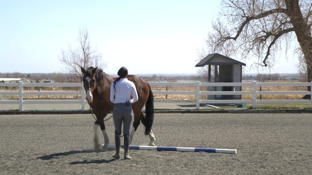 Footwork with a Ground Pole