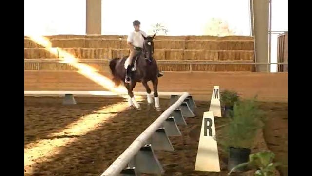 FEI, Adjustability, Tempi Changes | J...