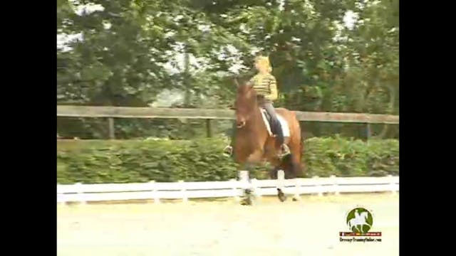 Understanding How to Make a Better Tr...