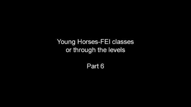 Young Horse Development and Young Hor...