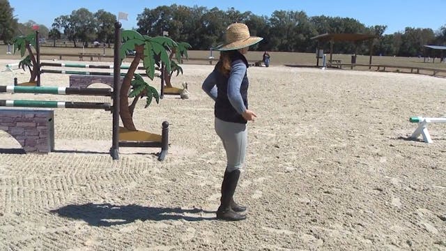 OTTB Hunter/Jumper to Eventing - Stad...