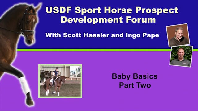 USDF Sport Horse Prospect Development...