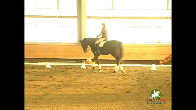 Free Walk, Extended Walk | Axel Stein...