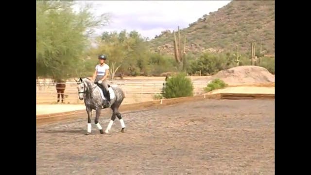 Riding back to front or front to back...