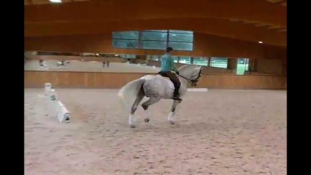 Jean Bemelmans Interview of how he ca...