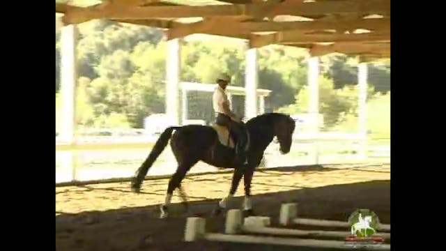 Hilda Gurney judging Second Level Test 4