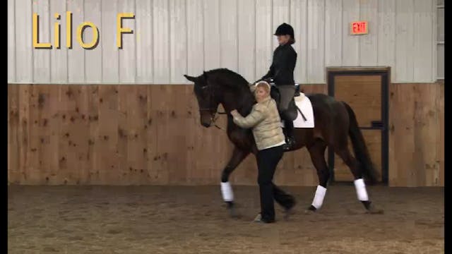 Creating contact with the experienced...