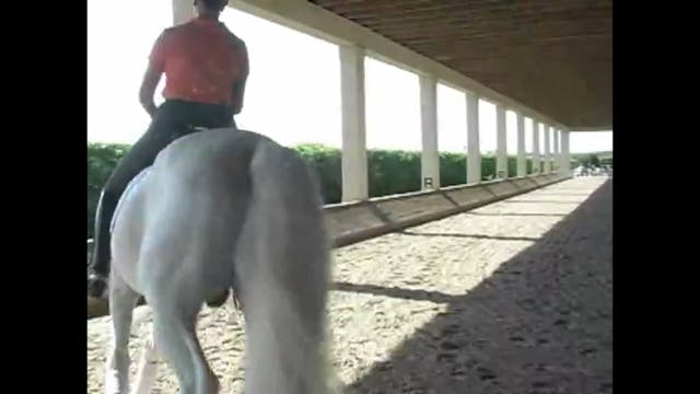 Slowing the walk down on a PRE | Rafa...