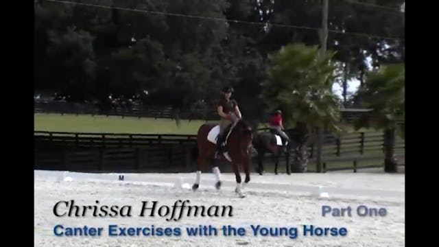 Canter Exercises for the Young Horse ...