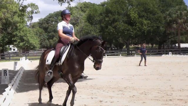 Riding the Shoulder-In | Todd Flettri...