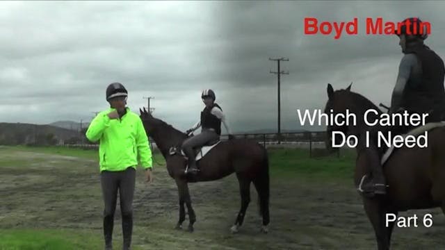 Which Canter Do I Need? - Part 6