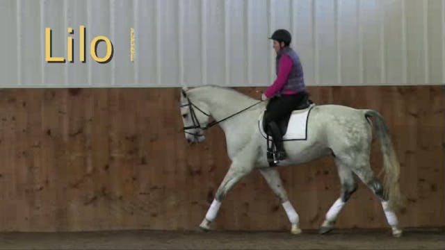 FarmVet/USDF Complete Adult Clinic, f...