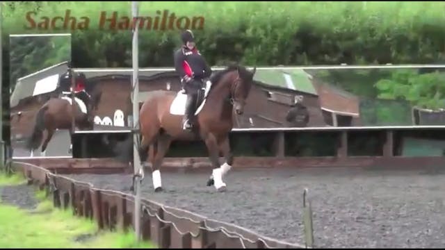 Sacha Hamilton - Para Equestrian Dres...