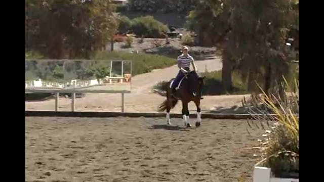 Canter pirouettes