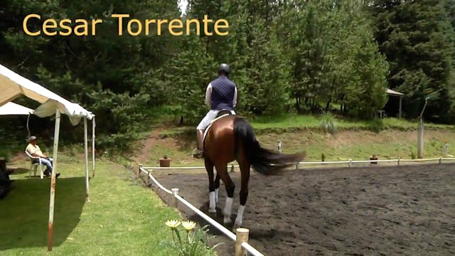 Forward and Soft | Cesar Torrente | P...