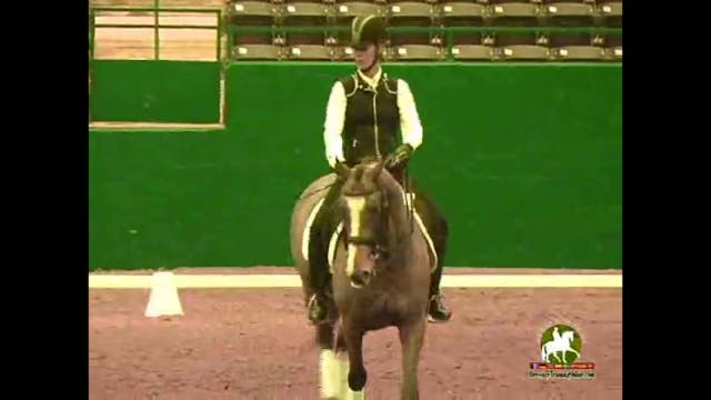 2009 Adequan/USDF Symposium | Jan Bri...