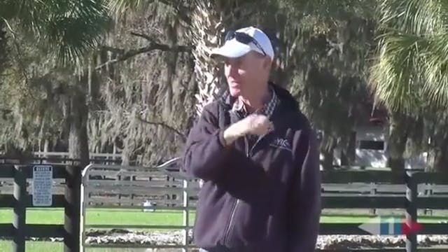 ICP Clinic - Stadium Jumping, Part 9