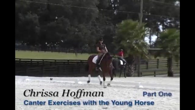 Canter Exercises for the Young Horse ...