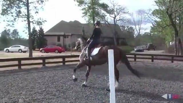 Heath Ryan Interview