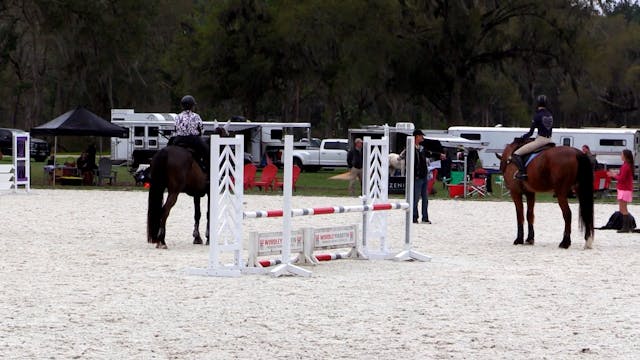 Novice Level - Jumping Courses - Part 3