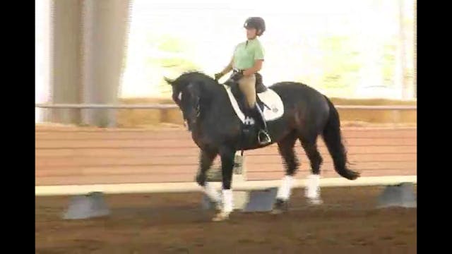 Succeed/USDF FEI Level Trainer's Conf...