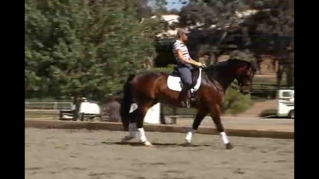 Developing the Gaits and Feel at Seco...