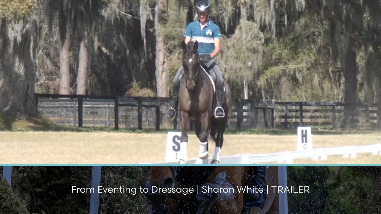 From Eventing to Dressage | Sharon White | TRAILER