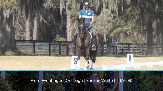 From Eventing to Dressage | Sharon Wh...