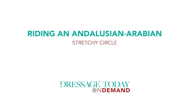 Riding an Andalusian-Arabian Stretchy...