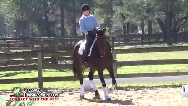 Lateral work in the trot Part 2