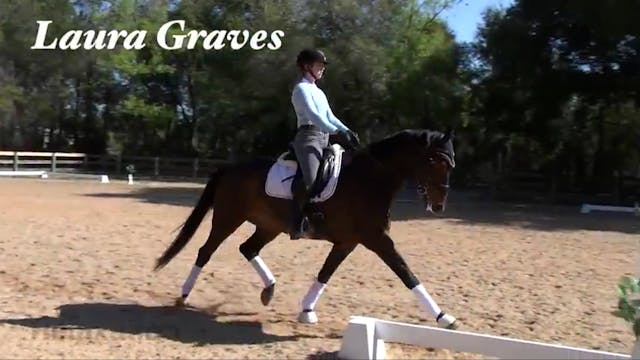 Lateral work in the trot