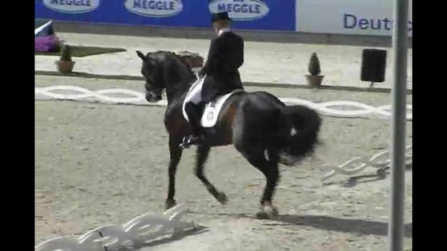 World Equestrian Festival, Freestyles...