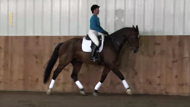 Walk canter, rein back, leg yield - 1...