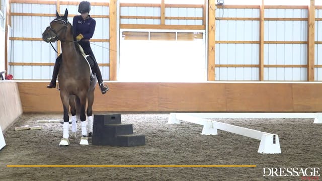 Heath Ryan - Improving the Canter Pir...