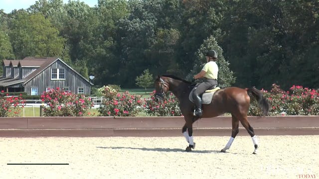 Dressage Lessons with Silva Martin, S...