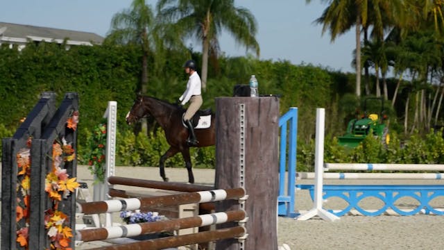 Hunter Under-saddle Tips at the Trot ...