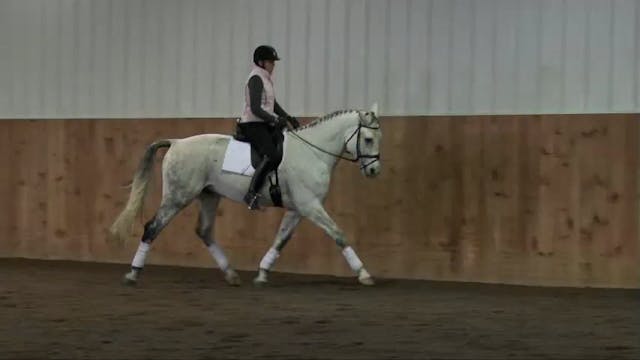FarmVet/USDF Complete Adult Clinic, f...