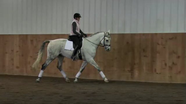 FarmVet/USDF Complete Adult Clinic, f...