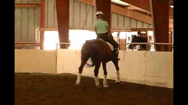 Canter Pirouette at the GP Level with...