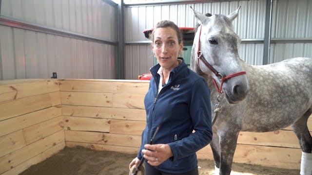 Groundwork - Leading Your Horse Withi...