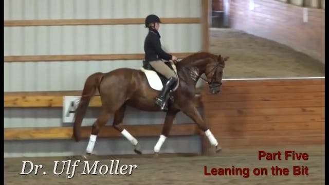 Lateral work to engage the hind leg w...