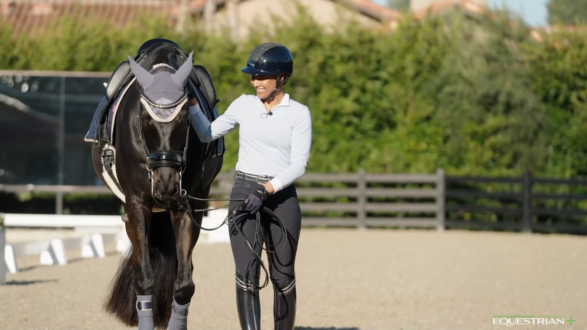 Flying Changes Through the Levels | AnnA Buffini