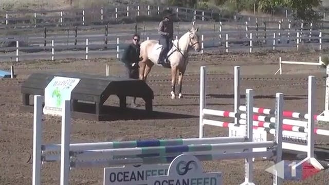 Trotting & Walking Fences | Will Cole...