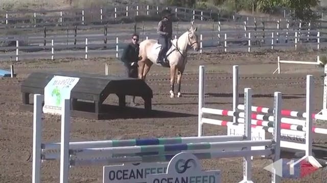 Trotting & Walking Fences - Part 1